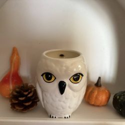 MUG HIBOU