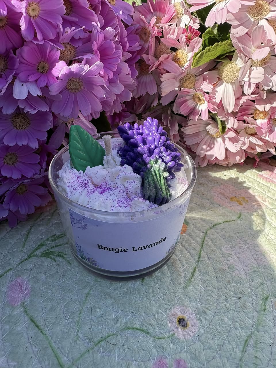 639541249_4365519720386310_4396948500568555518_n