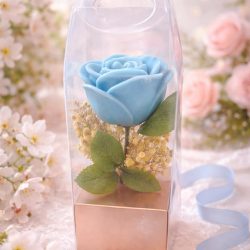 Rose eternelle senteur : mimosa