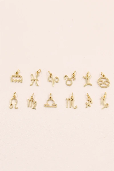lot-de-12-pendentis-signes-astrologiques-en-acier-inoxydable_dore_67d98bd75ed68-1.jpg