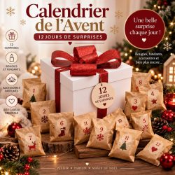 Calendrier de l'avent 12 cases