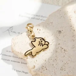 Charm chat
